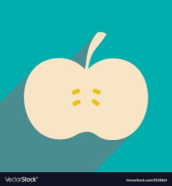 Flat with shadow icon and mobile applacation apple vector image