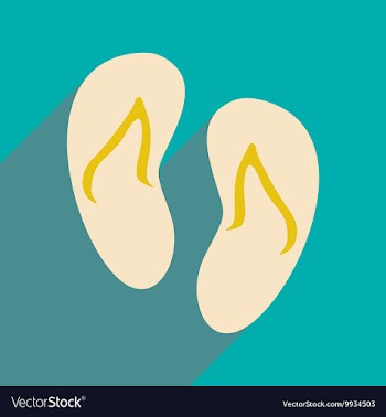 Flat with shadow icon and mobile applacation beach vector image