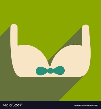 Flat with shadow icon and mobile applacation bra vector image