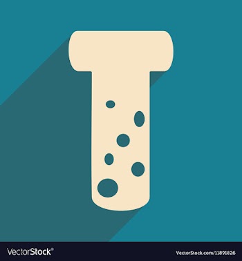 Flat with shadow icon and mobile applacation flask vector image