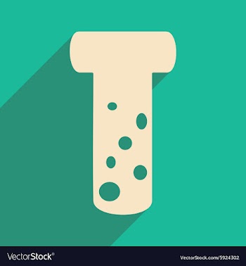 Flat with shadow icon and mobile applacation flask vector image