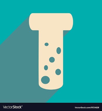 Flat with shadow icon and mobile applacation flask vector image