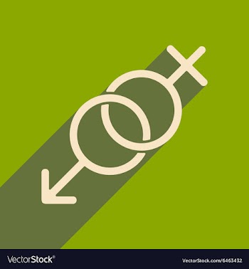 Flat with shadow icon and mobile applacation icon vector image
