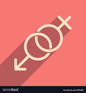 Flat with shadow icon and mobile applacation icon vector image