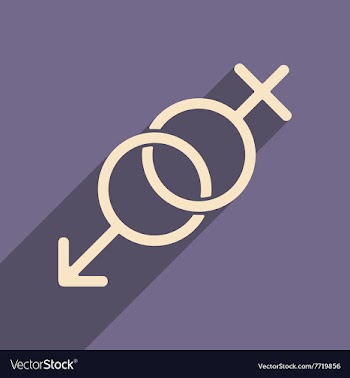 Flat with shadow icon and mobile applacation icon vector image