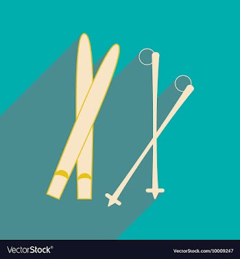 Flat with shadow icon and mobile applacation skis vector image