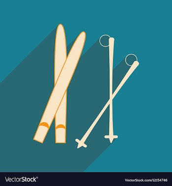 Flat with shadow icon and mobile applacation skis vector image