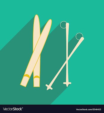 Flat with shadow icon and mobile applacation skis vector image
