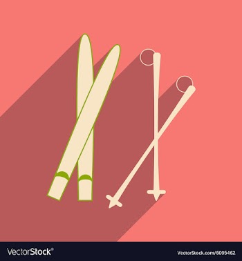 Flat with shadow icon and mobile applacation skis vector image