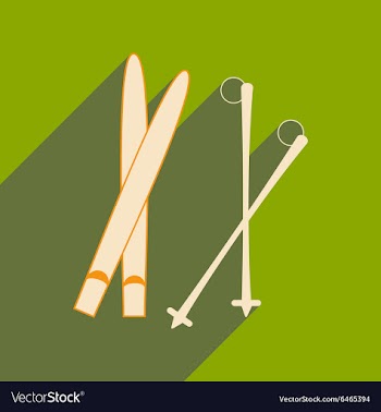 Flat with shadow icon and mobile applacation skis vector image