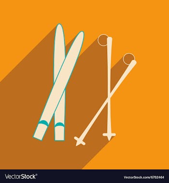 Flat with shadow icon and mobile applacation skis vector image