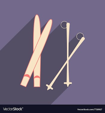Flat with shadow icon and mobile applacation skis vector image