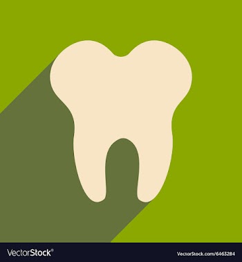 Flat with shadow icon and mobile applacation teeth vector image
