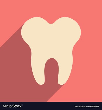 Flat with shadow icon and mobile applacation teeth vector image