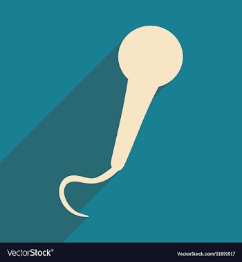 Flat with shadow icon and mobile applacation vector image