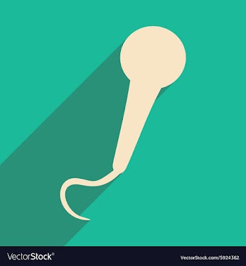 Flat with shadow icon and mobile applacation vector image