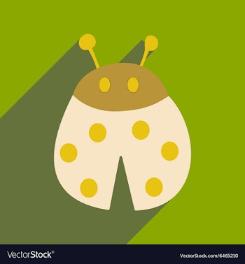 Flat with shadow icon and mobile applacation vector image