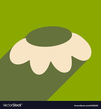 Flat with shadow icon and mobile applacation vector image