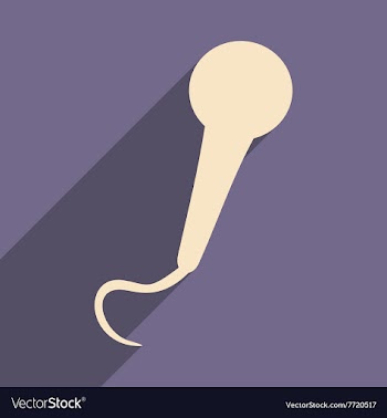 Flat with shadow icon and mobile applacation vector image