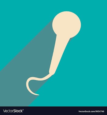 Flat with shadow icon and mobile applacation vector image
