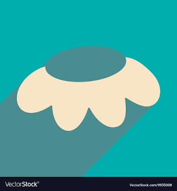 Flat with shadow icon and mobile applacation vector image