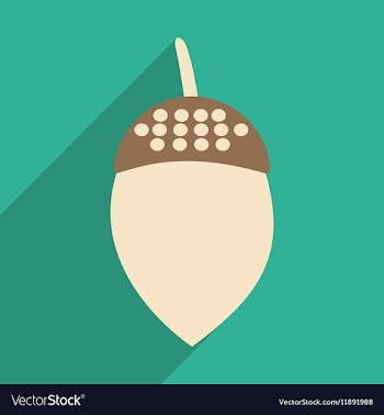 Flat with shadow icon and mobile application acorn vector image