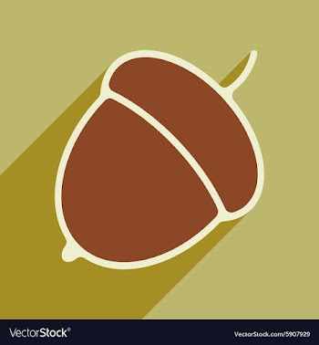 Flat with shadow icon and mobile application acorn vector image