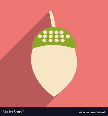 Flat with shadow icon and mobile application acorn vector image