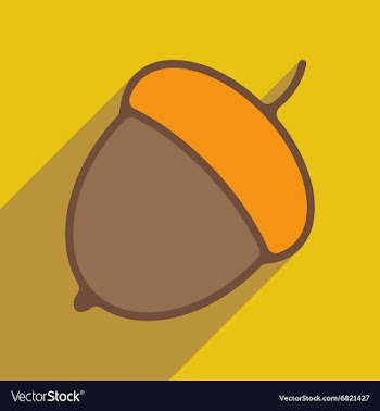 Flat with shadow icon and mobile application acorn vector image