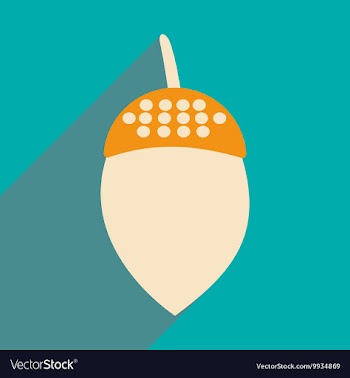 Flat with shadow icon and mobile application acorn vector image