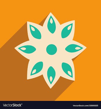 Flat with shadow icon and mobile application anise vector image