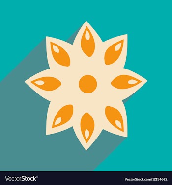 Flat with shadow icon and mobile application anise vector image