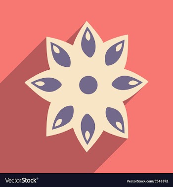 Flat with shadow icon and mobile application anise vector image