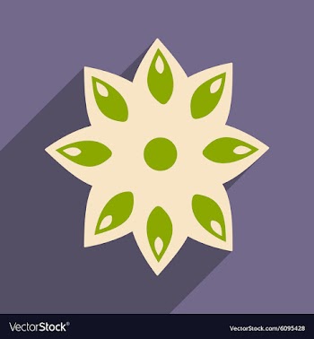 Flat with shadow icon and mobile application anise vector image
