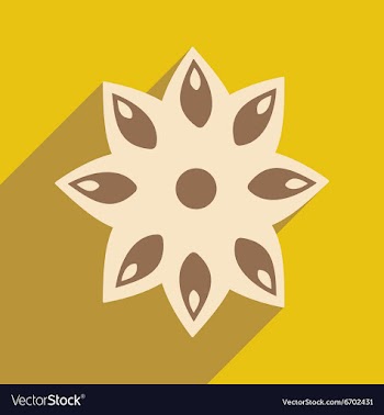 Flat with shadow icon and mobile application anise vector image