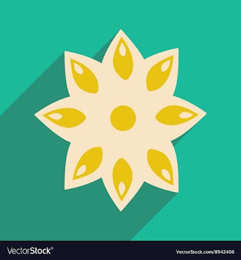 Flat with shadow icon and mobile application anise vector image