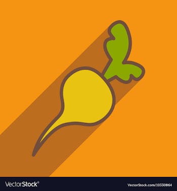 Flat with shadow icon and mobile application beet vector image