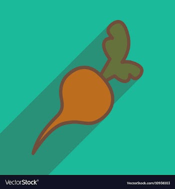 Flat with shadow icon and mobile application beet vector image