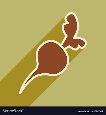 Flat with shadow icon and mobile application beet vector image