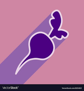 Flat with shadow icon and mobile application beet vector image