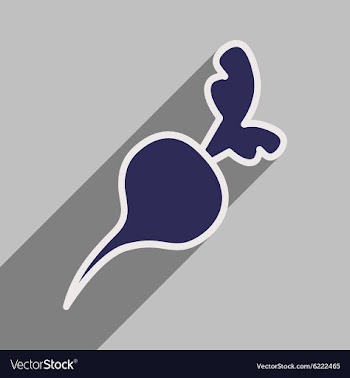 Flat with shadow icon and mobile application beet vector image