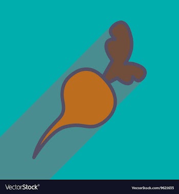 Flat with shadow icon and mobile application beet vector image