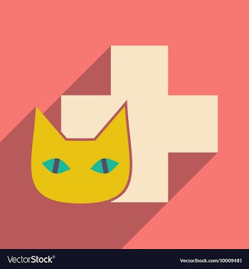 Flat with shadow icon and mobile application cat vector image
