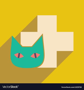 Flat with shadow icon and mobile application cat vector image