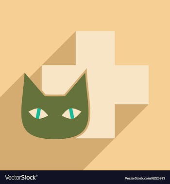 Flat with shadow icon and mobile application cat vector image