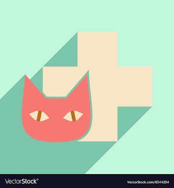 Flat with shadow icon and mobile application cat vector image