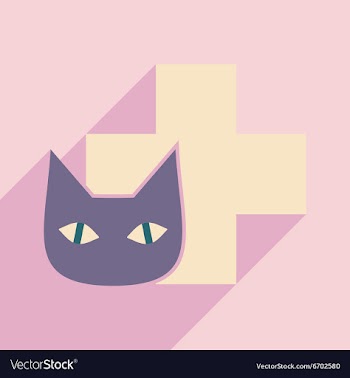 Flat with shadow icon and mobile application cat vector image