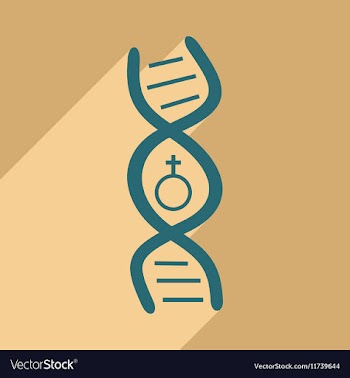 Flat with shadow icon and mobile application genes vector image
