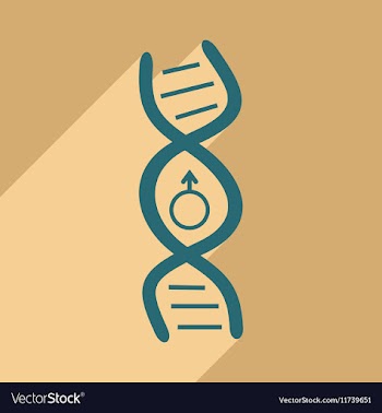 Flat with shadow icon and mobile application genes vector image