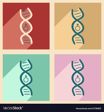 Flat with shadow icon and mobile application genes vector image